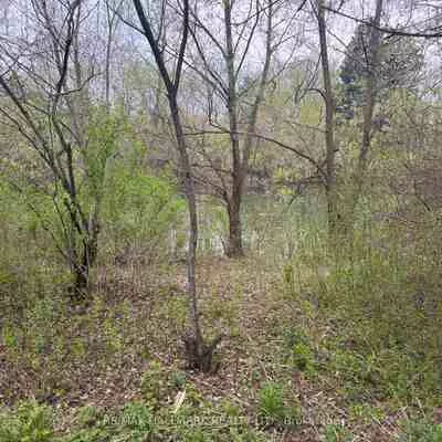 34, Willow Tree, Maple, Vaughan