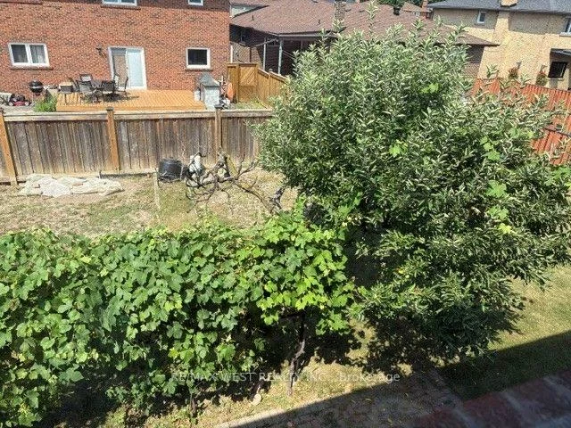 98, Jeanne, East Woodbridge, Vaughan