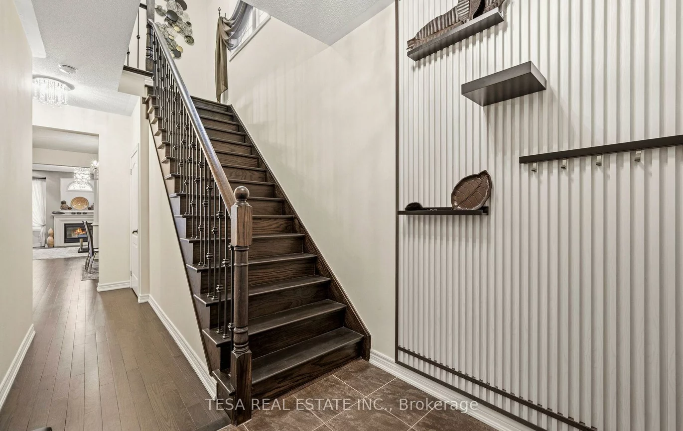 417, Lady Nadia, Patterson, Vaughan