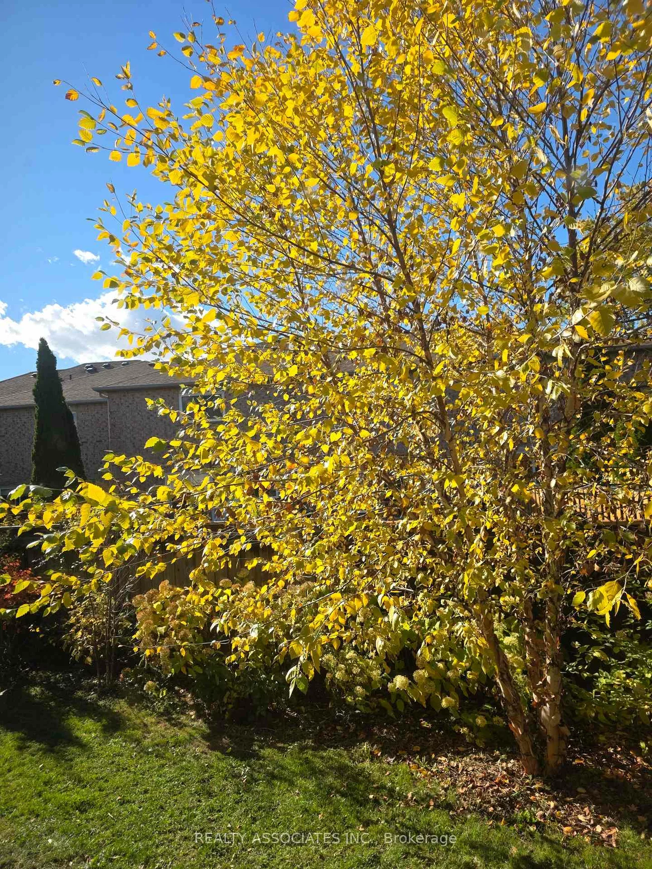 128, Coalbrook, East Woodbridge, Vaughan